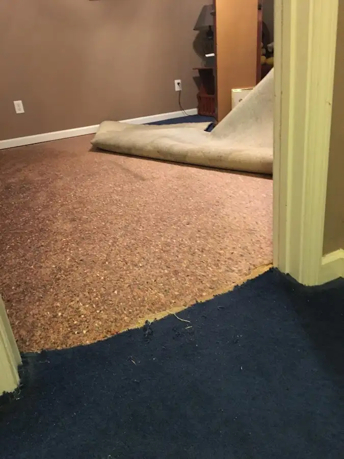 Carpet pad removal revealing water damage during Drying & Dehumidification in Evanston