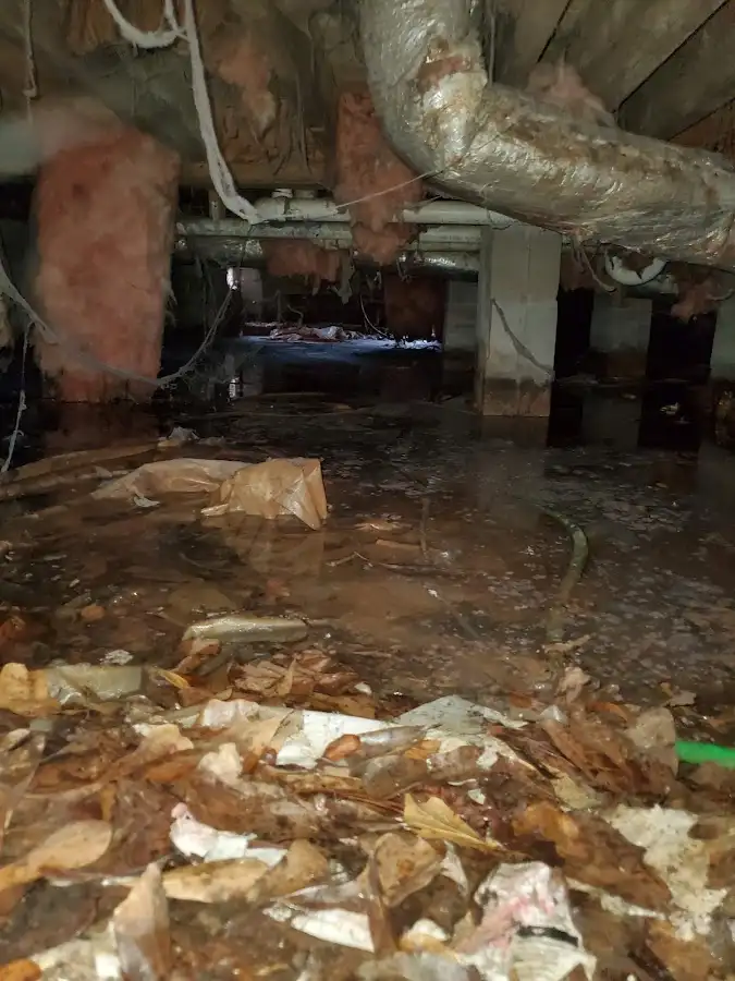 Crawl space flood assessment for Leak Detection & Repair in Evanston
